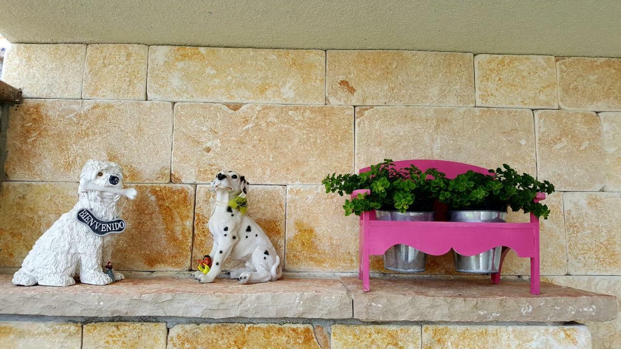 Apartments Panda بول المظهر الخارجي الصورة